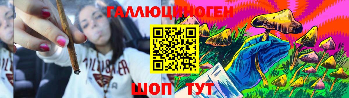 где найти   Псилоцибиновые грибы мухоморы  Вход с VPN  Псилоцибиновые грибы прущие грибы  Приморско-Ахтарск 